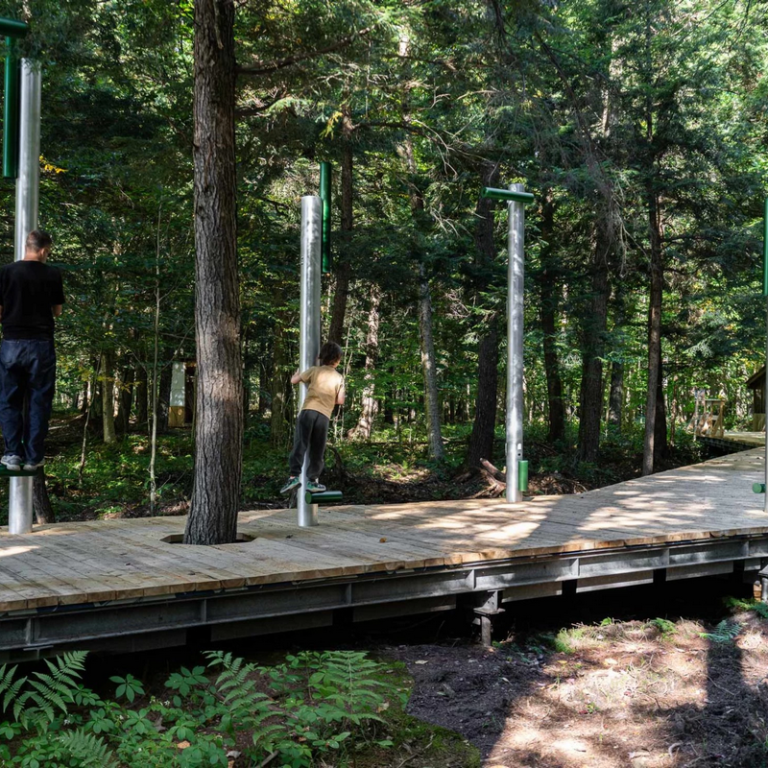 Se syntoniser avec la for&ecirc;t