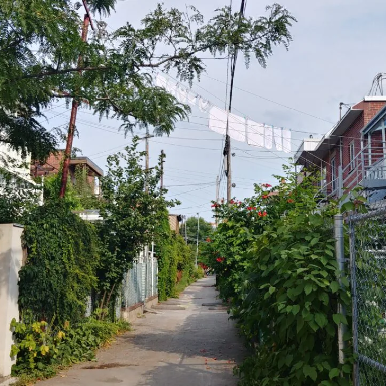 Ruelles et traditions